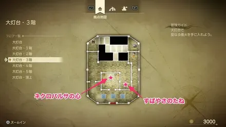 ネクロバルサの心画像