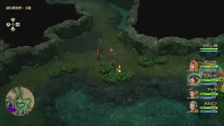 すばやさのたね画像