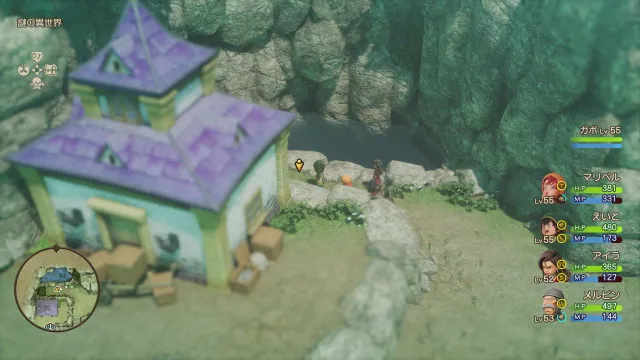 ちからのたね見た目画像