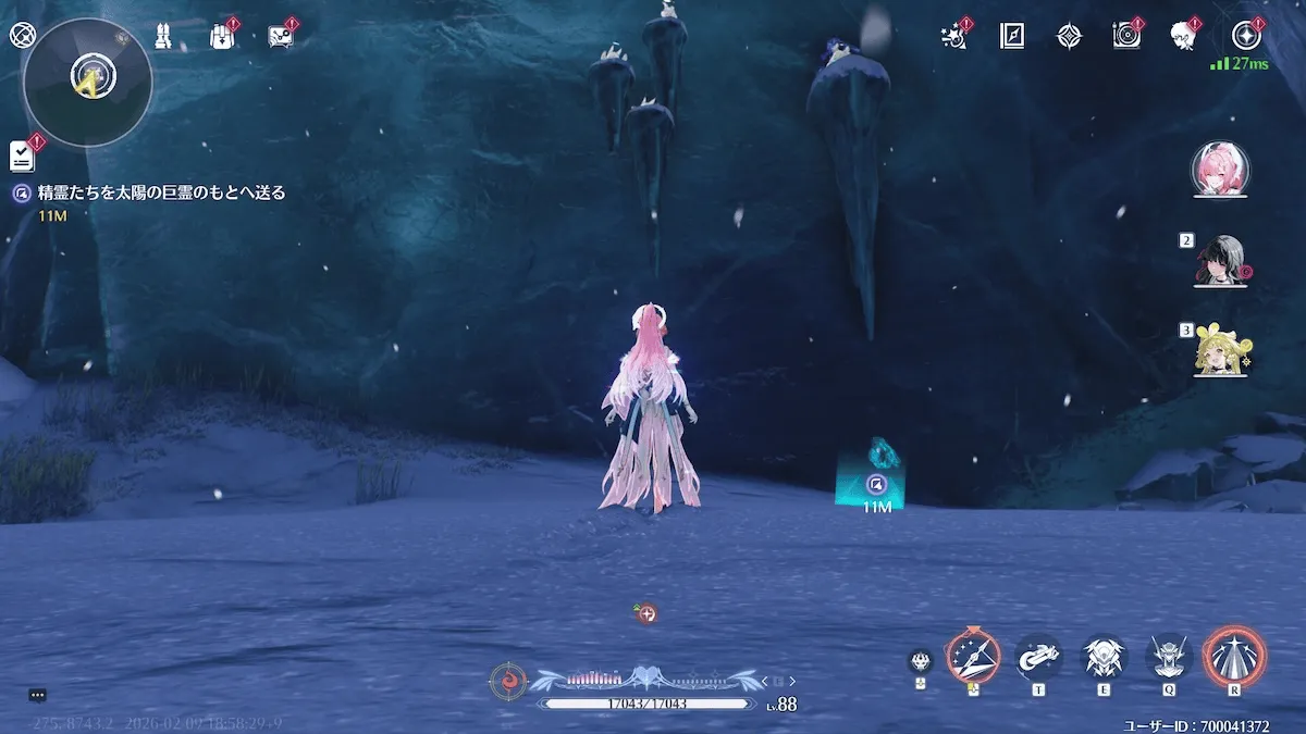 タイドロスト・フォレスト①見た目