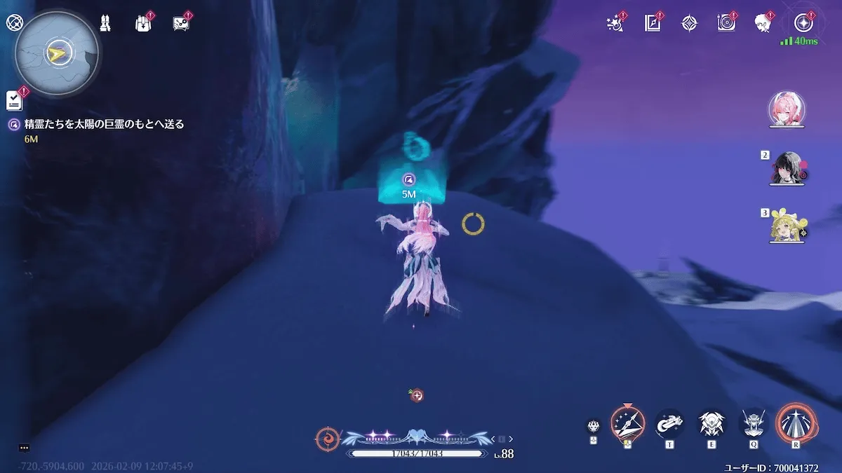 太陽の精霊の流引の見た目