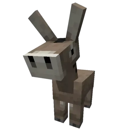 赤ちゃんロバ