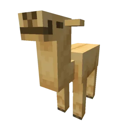 赤ちゃんラクダ