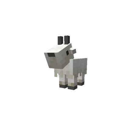 赤ちゃんヤギ