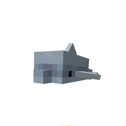 赤ちゃんイルカ