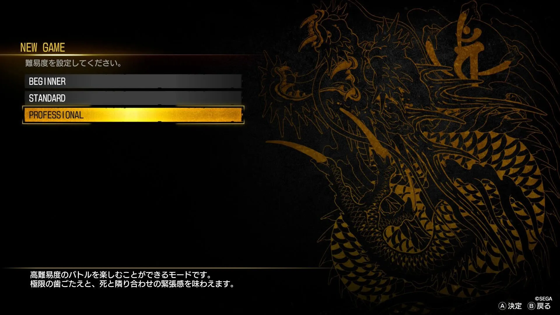 プロフェッショナル