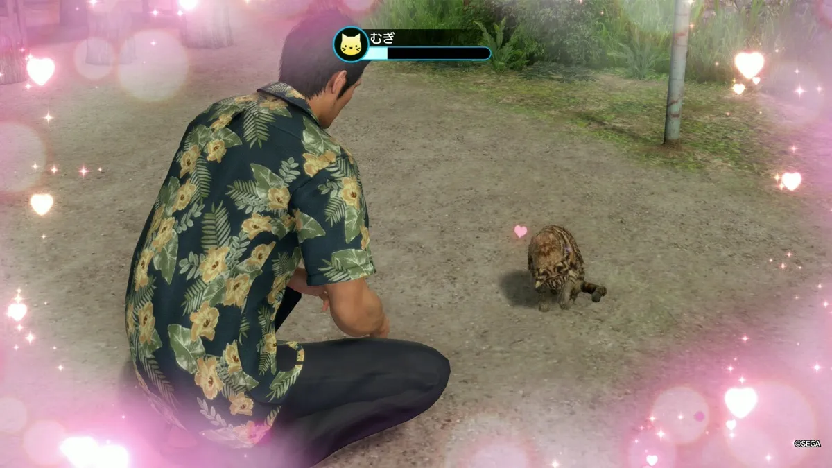 パパランク上げ方