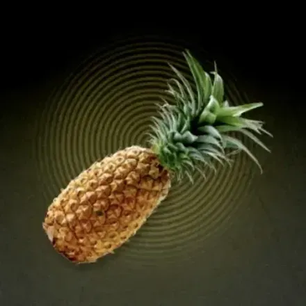 パイナップル画像