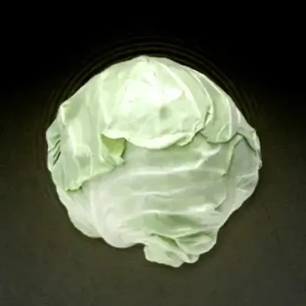 キャベツ画像