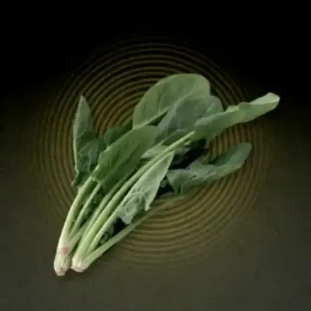 ほうれん草画像