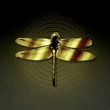 金のトンボ画像