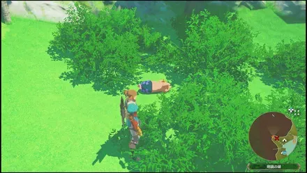 プーギー19の見た目