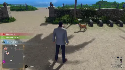 がんばれオトナたち画像