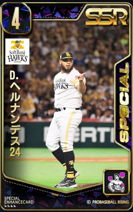 D.ヘルナンデス24の画像