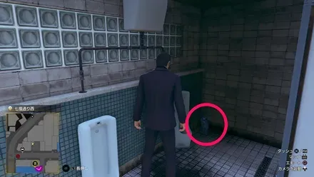 児童公園トイレに居る猫