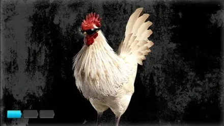 つっぱりちきん画像