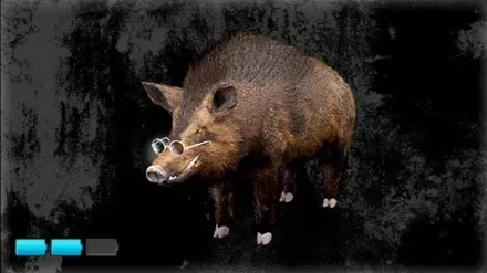 ぶっこみボアー画像