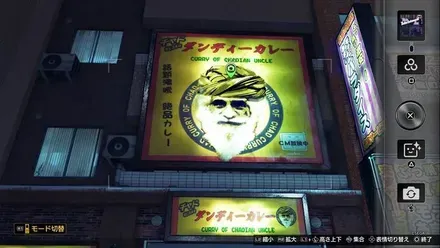 ダンディーカレー画像