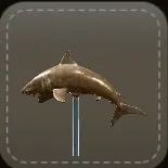 アンテナ：サメ