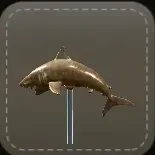 アンテナ：サメ画像