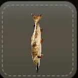 アンテナ：焼き魚画像