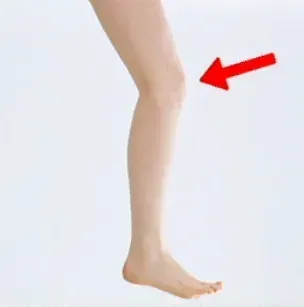 保健体育の問題です。この体の部分の名前は何ですか?