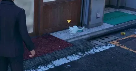 猫の場所まとめ