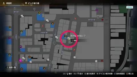 我が猫は何処に？画像