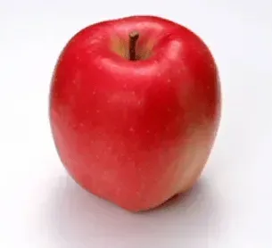 写真に写ったもののつづりとして正しいものはどれですか？