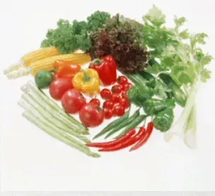 写真に写ったもののつづりとして正しいものはどれですか？