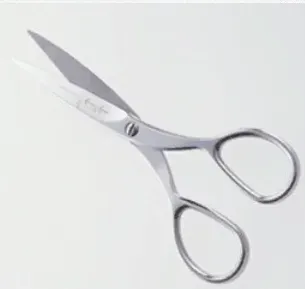 写真に写ったもののつづりとして正しいものはどれですか？