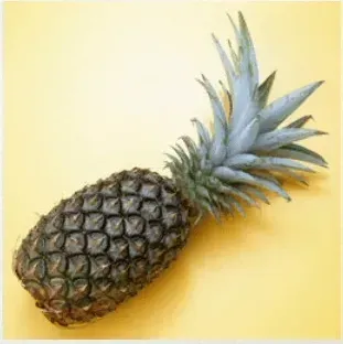 写真に写ったもののつづりとして正しいものはどれですか？