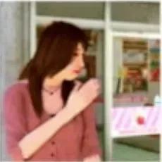 旅行ガイド田崎画像