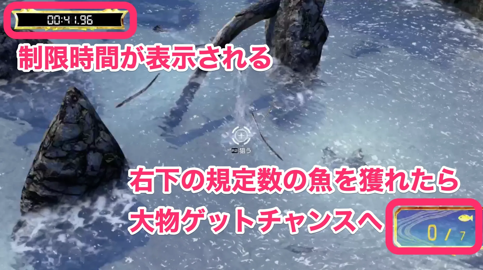 規定数の魚を獲ろう