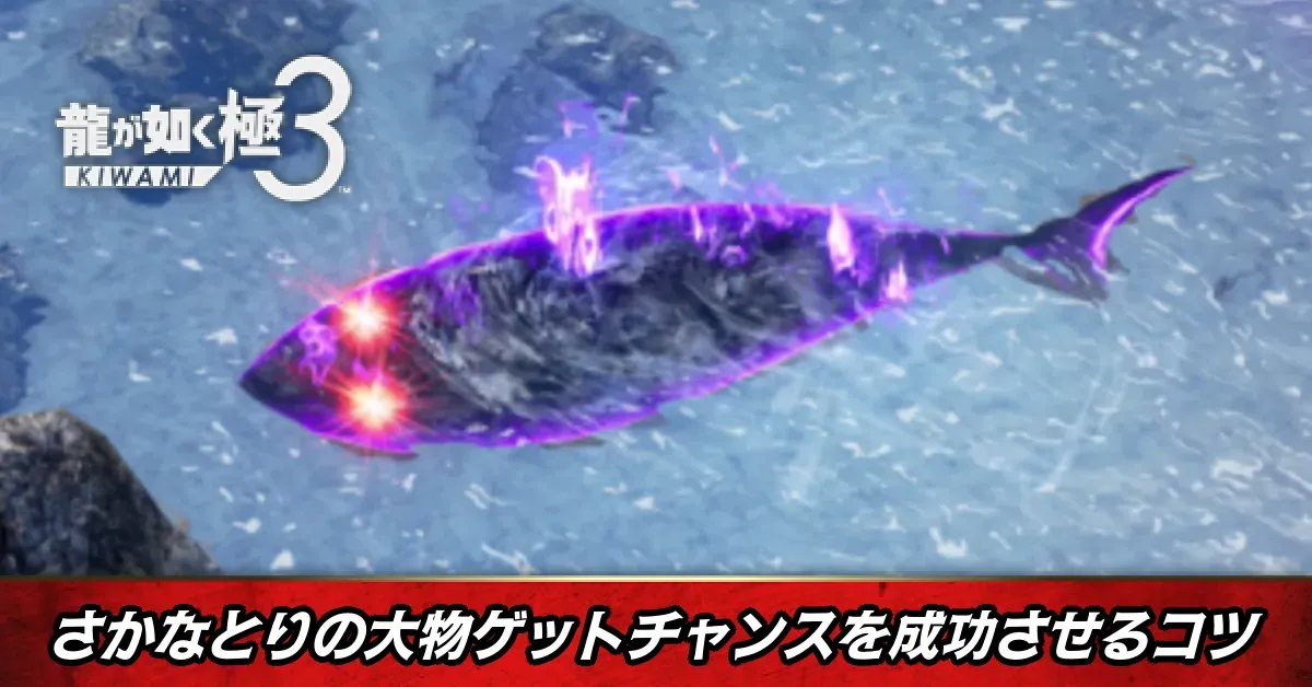 サムネ_さかなとり