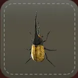 立体シール：カブトムシ