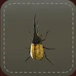 立体シール：カブトムシ画像