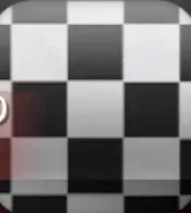 ベースカラー：チェック柄（ホワイト）