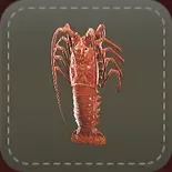 立体シール：伊勢海老画像