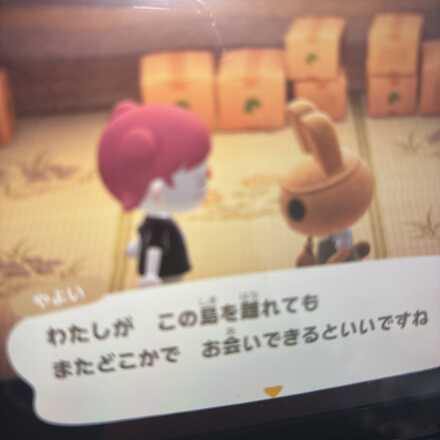 コメント画像