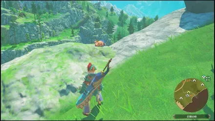 プーギー11の見た目