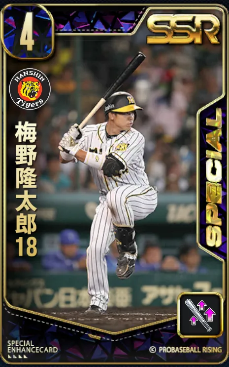 梅野隆太郎18の画像