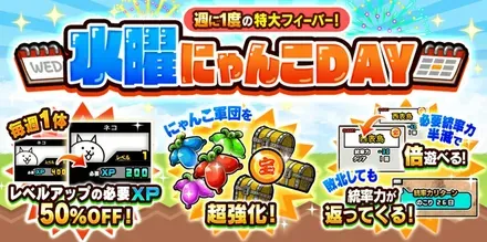 水曜にゃんこDAY