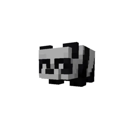 赤ちゃんパンダ