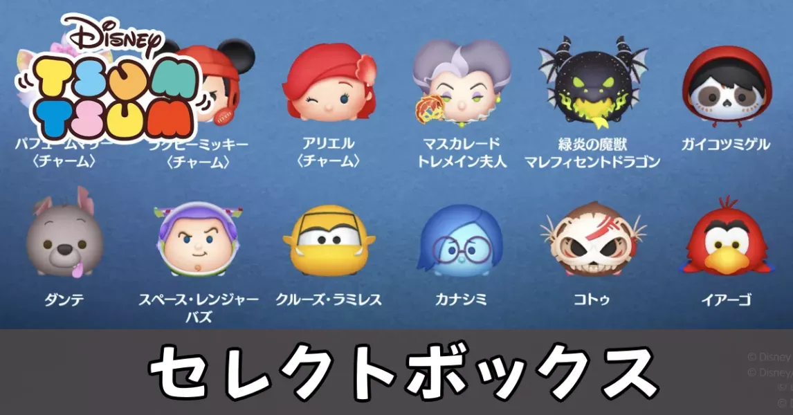 セレクトボックス