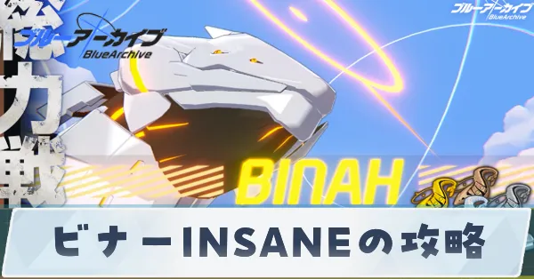 ビナーINSANEの攻略