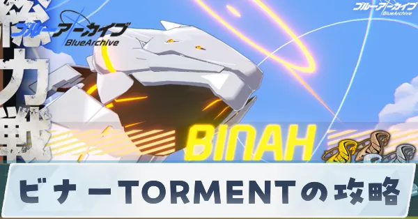 ビナーTORMENTの攻略