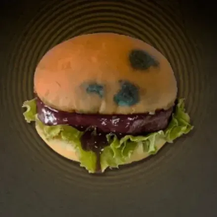 廃棄バーガー画像