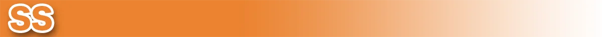 SSバナー