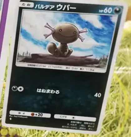 パルデアウパー